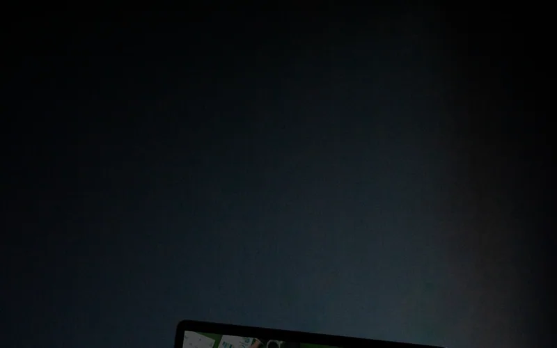 Dominikpaszkowski website - solar & energy, built by Studio Arlek