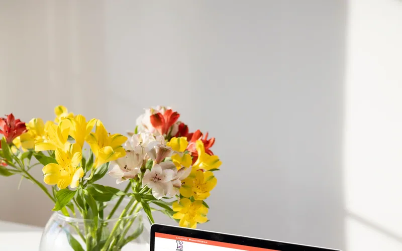 Katmar-baby website - online retail, built by Studio Arlek