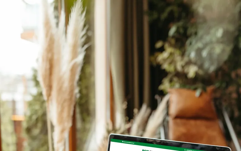 Rodwiarus-sezam website - professional services, built by Studio Arlek